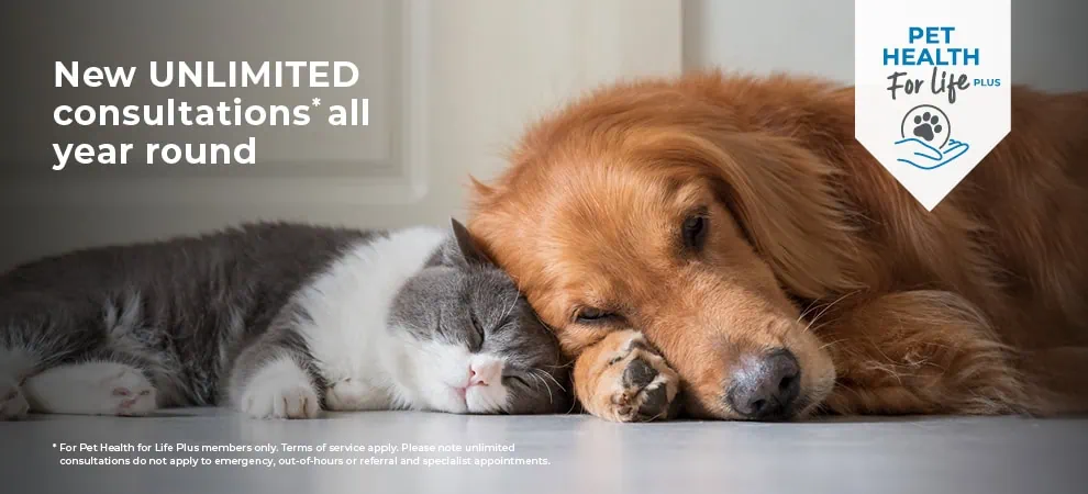 Pet Health for Life by End Cottage Vets