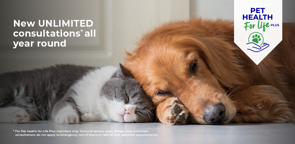 Pet Health for Life by End Cottage Vets