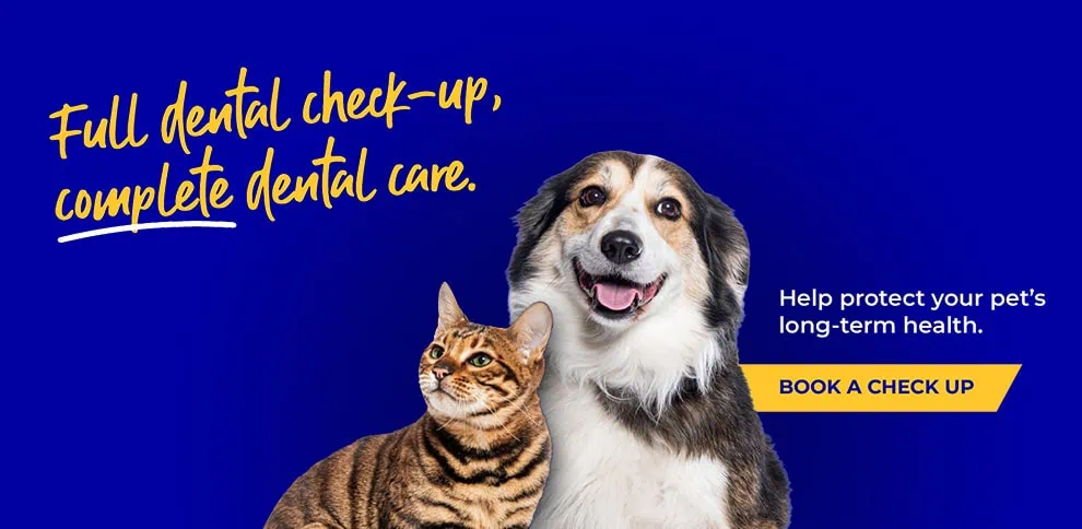End Cottage Vets in Howden in East Riding in Yorkshire