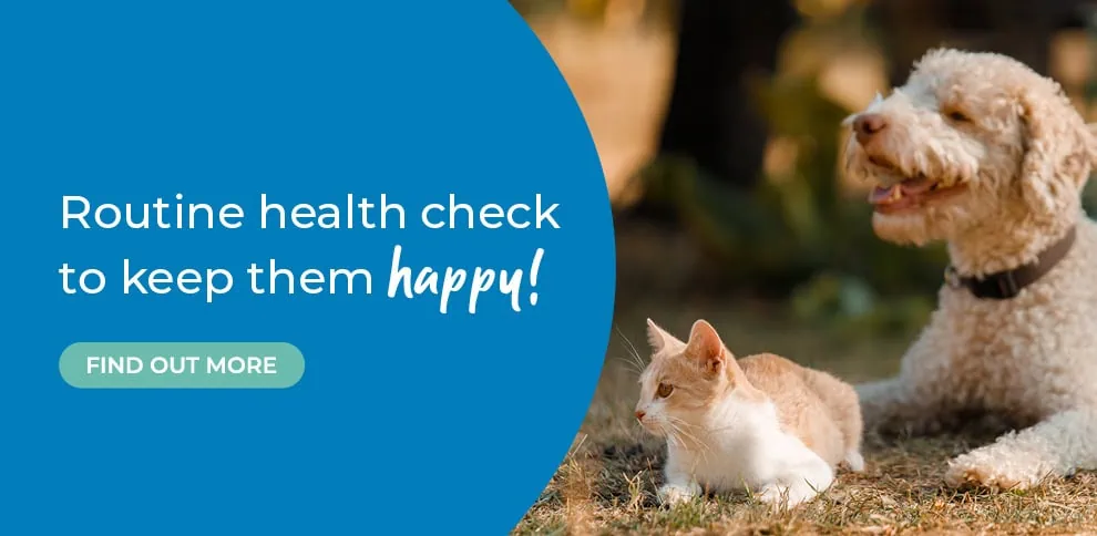 End Cottage Vets in Howden in East Riding in Yorkshire