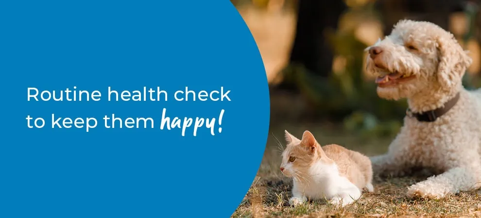Pet Health Check in East Riding, Yorkshire | Preventative Vet Care