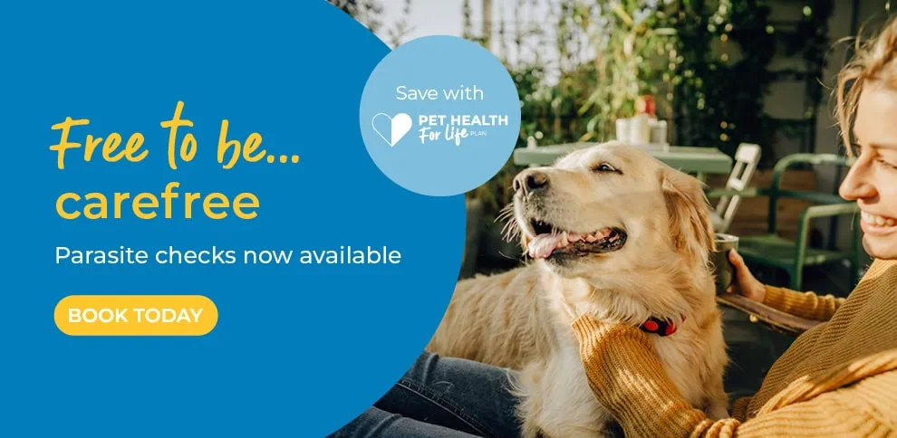 End Cottage Vets in Howden in East Riding in Yorkshire